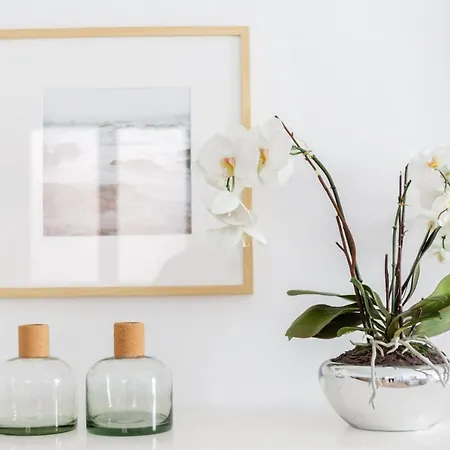 Faro Family By Cadiz4rentals